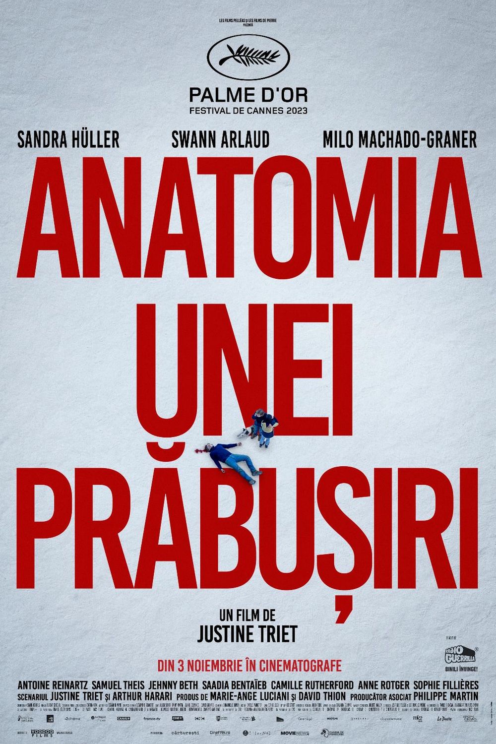 Anatomia unei prabusiri POSTER